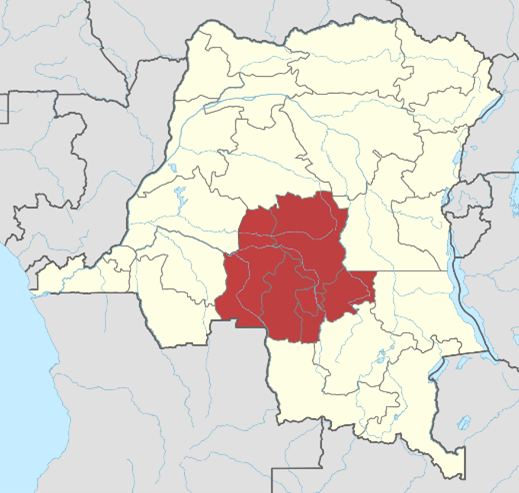 Rébellion Kamwina Nsapu — Wikipédia